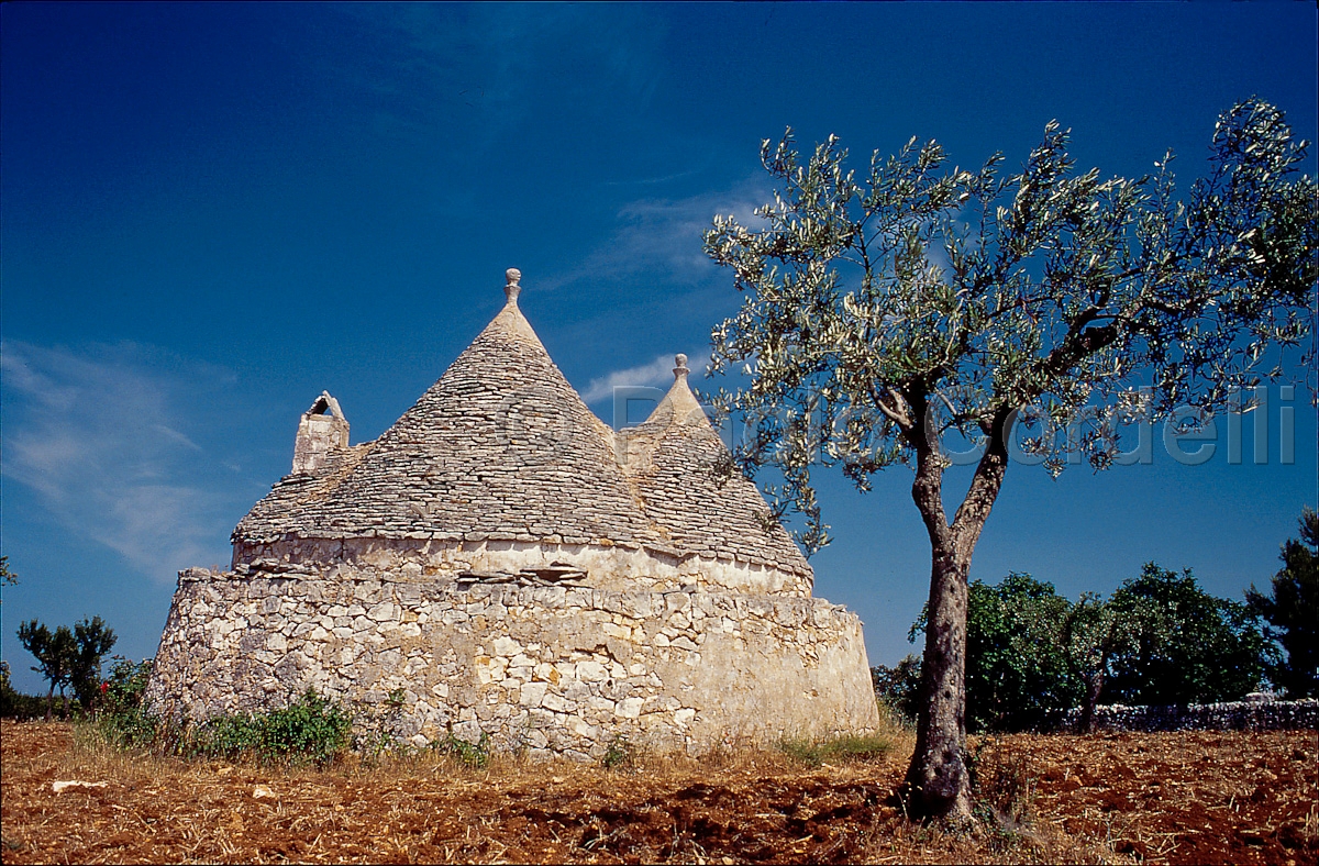 Trulli, Alberobello, Puglia, Italy
(cod:Puglia 12)